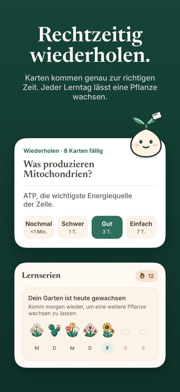 Eine Karteikarten-Wiederholung