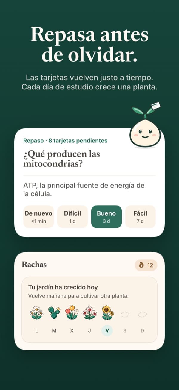 Una sesión de repaso de flashcards