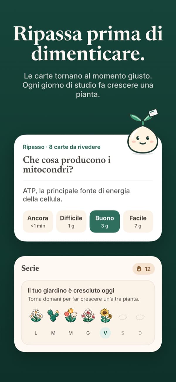 Una sessione di ripasso delle flashcard