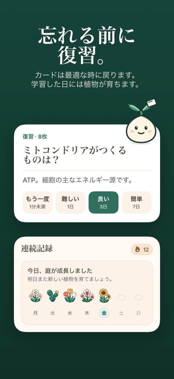 暗記カードの復習
