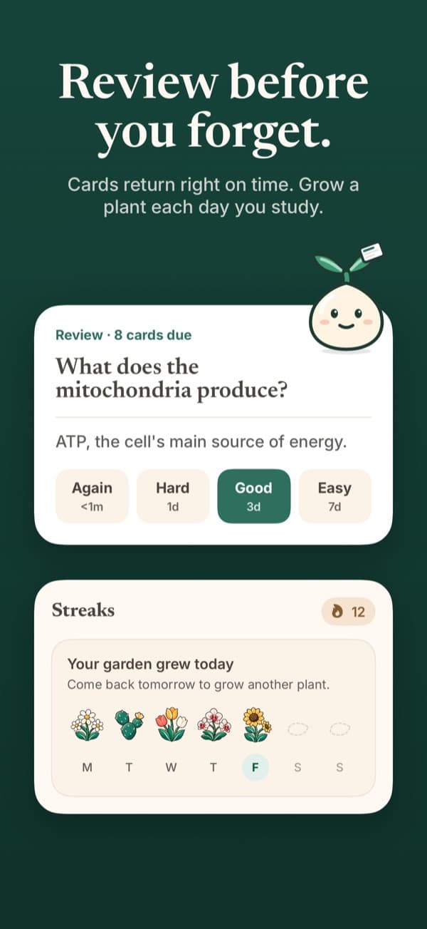 A flashcard review session