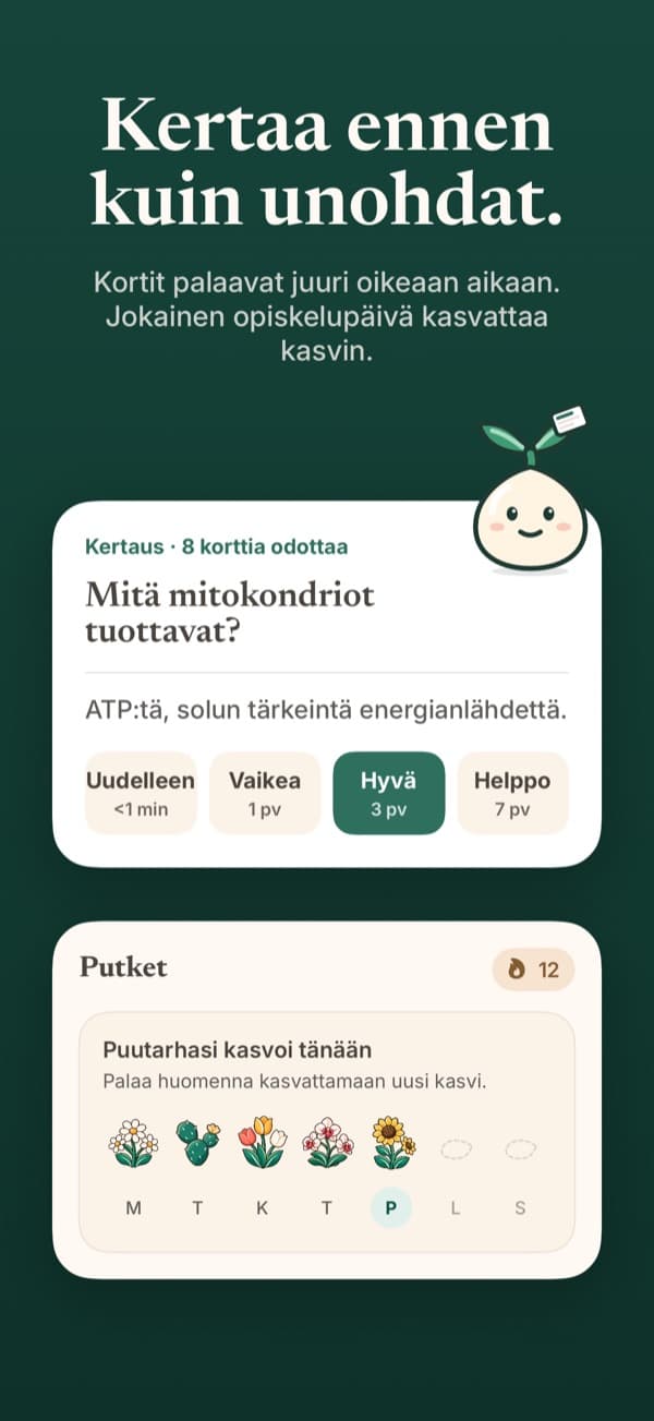 Muistikorttien kertaus