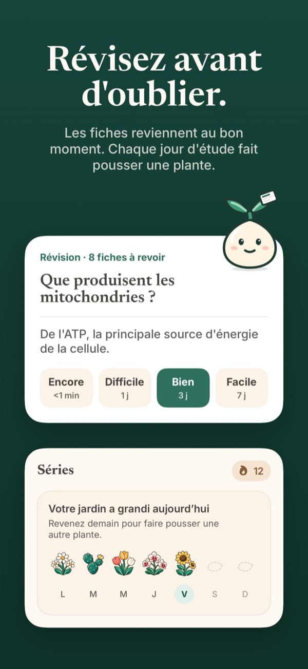 Une séance de révision de fiches