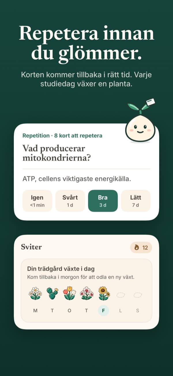 En repetition av flashcards
