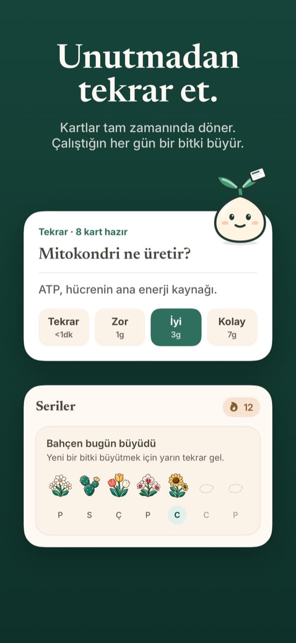 Bir flashcard tekrar oturumu